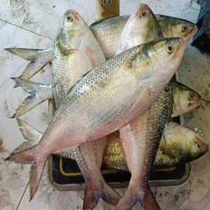 ৬ পিস মাছে ৫ কেজি ২০০০ টাকা